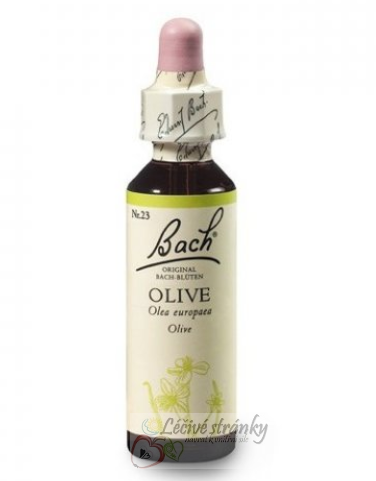 23. Olive - Oliva
